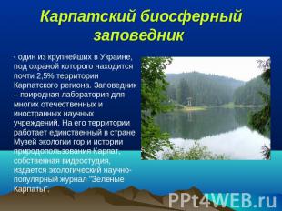 Карпатский биосферный заповедник  - один из крупнейших в Украине, под охраной ко