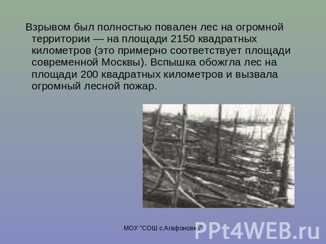 Взрывом был полностью повален лес на огромной территории — на площади 2150 квадратных километров (это примерно соответствует площади современной Москвы). Вспышка обожгла лес на площади 200 квадратных километров и вызвала огромный лесной пожар.