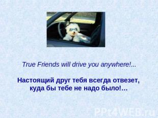 True Friends will drive you anywhere!...   Настоящий друг тебя всегда отвезет, к