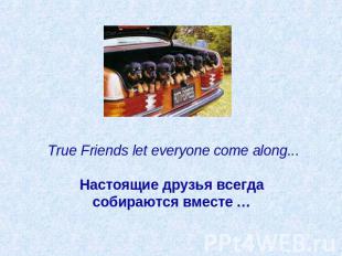 True Friends let everyone come along...   Настоящие друзья всегда собираются вме