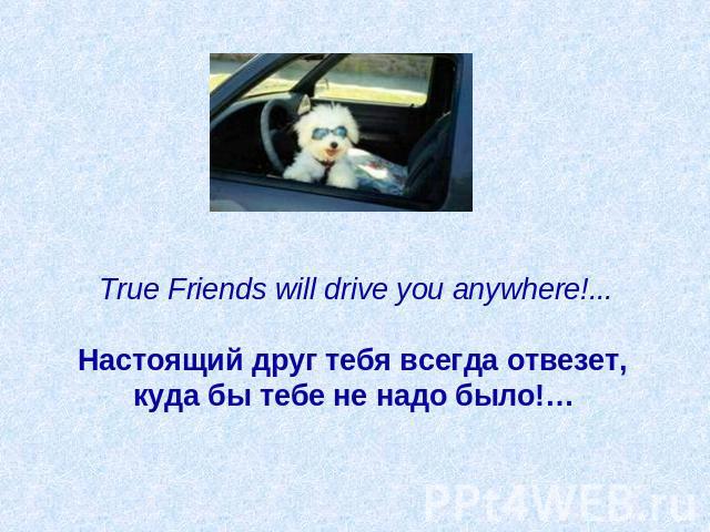 True Friends will drive you anywhere!...   Настоящий друг тебя всегда отвезет, куда бы тебе не надо было!…