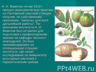 Н. И. Вавилов летом 1910 г. прошел агрономическую практику на Полтавской опытной