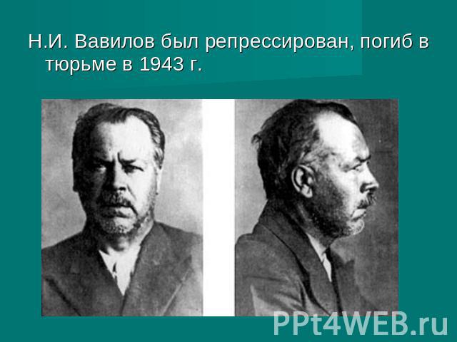 Н.И. Вавилов был репрессирован, погиб в тюрьме в 1943г.