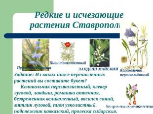 Редкие и исчезающие растения Ставрополья Задание: Из каких ниже перечисленных ра