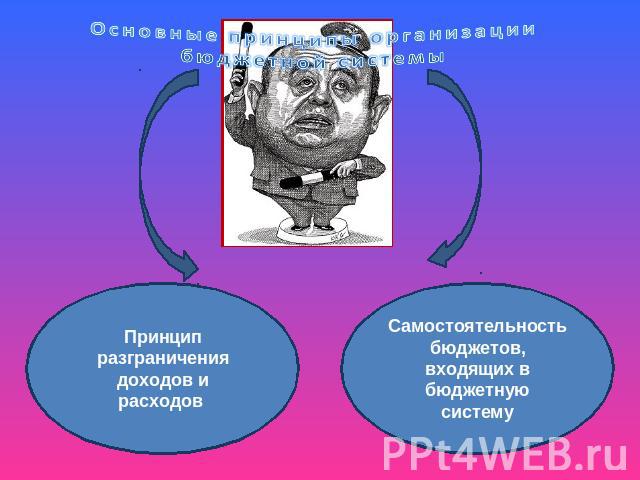 Основные принципы организации бюджетной системы Принцип разграничения доходов и расходов Самостоятельность бюджетов, входящих в бюджетную систему