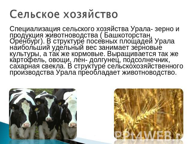 Сельское хозяйство Специализация сельского хозяйства Урала- зерно и продукция животноводства ( Башкоторстан, Оренбург). В структуре посевных площадей Урала наибольший удельный вес занимает зерновые культуры, а так же кормовые. Выращивается так же ка…
