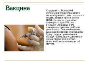 Вакцина Специалисты Всемирной организации здравоохранения и медики в разных стра