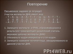 Повторение Письменное задание (в тетради): Участок молекулы ДНК имеет вид: – Т –