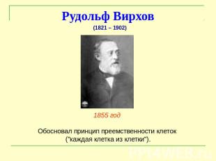 Рудольф Вирхов 1855 год Обосновал принцип преемственности клеток ("каждая клетка