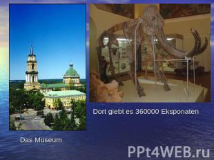 Das Museum Dort giebt es 360000 Eksponaten