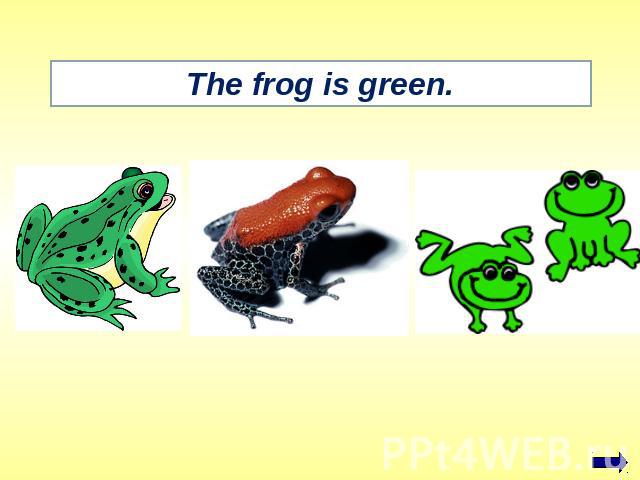 The frog is green.