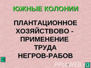 ЮЖНЫЕ КОЛОНИИ ПЛАНТАЦИОННОЕ ХОЗЯЙСТВОВО - ПРИМЕНЕНИЕ ТРУДА НЕГРОВ-РАБОВ