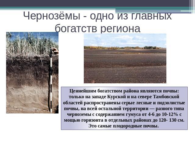 Чернозёмы - одно из главных богатств региона Ценнейшим богатством района являются почвы: только на западе Курской и на севере Тамбовской областей распространены серые лесные и подзолистые почвы, на всей остальной территории — разного типа черноземы …