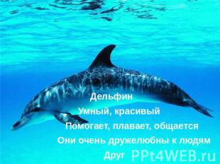 Дельфин Дельфин Умный, красивый Помогает, плавает, общается Они очень дружелюбны
