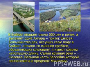 В Байкал впадает около 550 рек и речек, а вытекает одна Ангара – приток Енисея.
