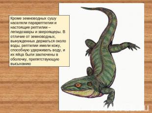 Кроме земноводных сушу населяли парарептилии и настоящие рептилии – лепидозавры