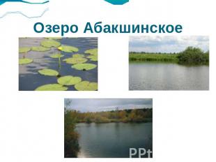 Озеро Абакшинское