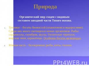 Природа Органический мир сходен с видовым составом западной части Тихого океана.