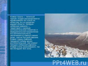 Климат Урала — типичный горный; осадки распределяются неравномерно не только по