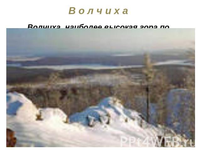 В о л ч и х аВолчиха, наиболее высокая гора по близости Екатеринбурга (высота 526м). Гора расположена около г. Первоуральска и г. Ревда. Скалистая вершина Волчихи возвышается над лесом. В сторону Ревды и Первоуарльска, в безветренную погоду, долина …