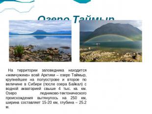 Озеро Таймыр На территории заповедника находится «жемчужина» всей Арктики – озер