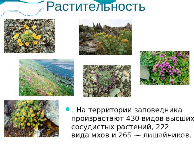 Растительность . На территории заповедника произрастают 430 видов высших сосудистых растений, 222 вида мхов и 265 — лишайников.