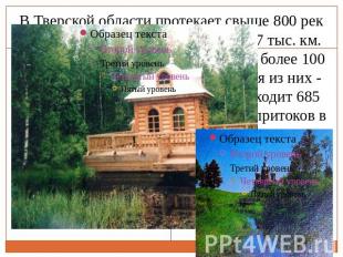 В Тверской области протекает свыше 800 рек и ручьев общей протяженностью 17 тыс.