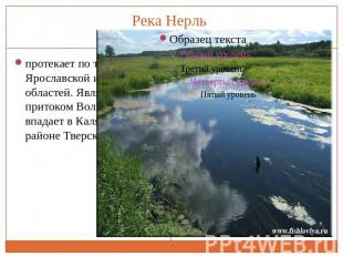 Река Нерль протекает по территориям Ярославской и Тверской областей. Является пр