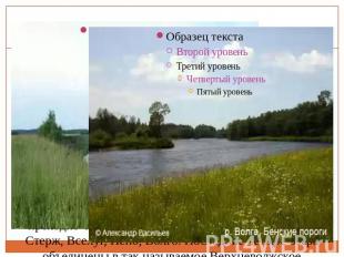 ВОЛГА Река Волга - одна из крупнейших рек на Земле и самая большая в Европе. Дли