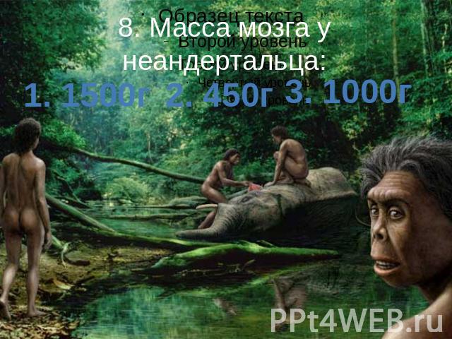 8. Масса мозга у неандертальца: 1. 1500г 2. 450г 3. 1000г