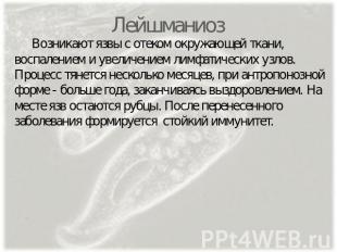 Лейшманиоз Возникают язвы с отеком окружающей ткани, воспалением и увеличением л