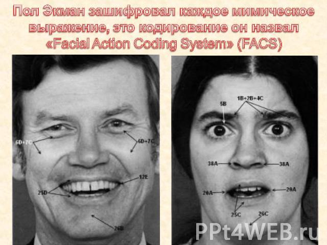 Пол Экман зашифровал каждое мимическое выражение, это кодирование он назвал «Facial Action Coding System» (FACS)