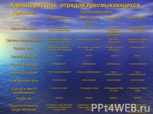download современный русский язык