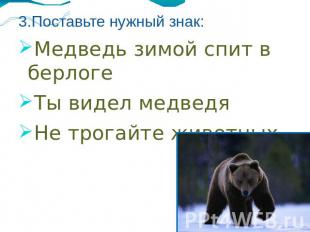 3.Поставьте нужный знак: Медведь зимой спит в берлоге Ты видел медведя Не трогай
