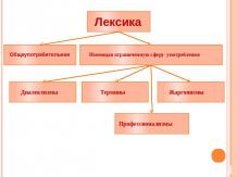Интерактивный плакат «Сферы употребления русской лексики»
