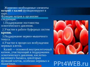 Жизненно необходимые элементы натрий и калий функционируют в паре. Функции натри