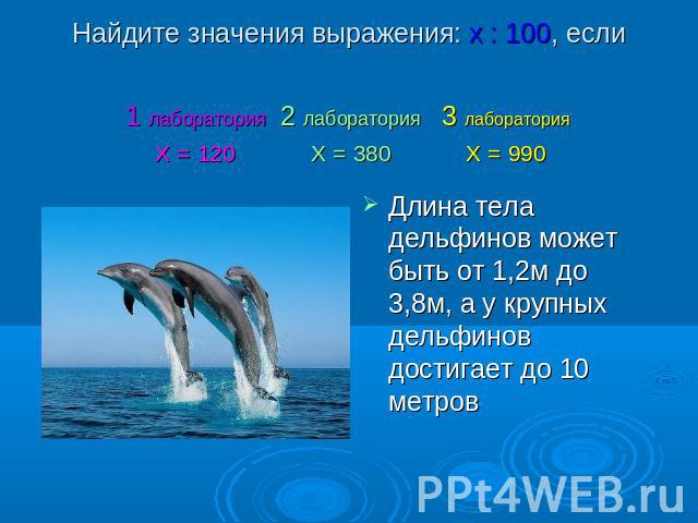 Найдите значения выражения: х : 100, если Длина тела дельфинов может быть от 1,2м до 3,8м, а у крупных дельфинов достигает до 10 метров