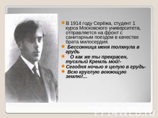 В 1914 году Серёжа, студент 1 курса Московского университета, отправляется на фр
