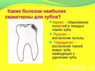 Какие болезни наиболее характерны для зубов? Кариес – образование полостей в тве