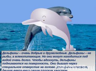 Дельфины – очень добрые и дружелюбные. Дельфины – не рыбы, а млекопитающие. Но о