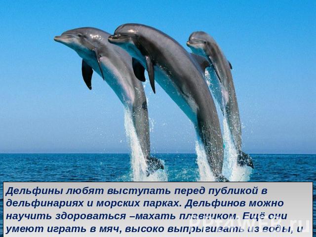 Дельфины любят выступать перед публикой в дельфинариях и морских парках. Дельфинов можно научить здороваться –махать плавником. Ещё они умеют играть в мяч, высоко выпрыгивать из воды, и даже танцевать на хвостах !
