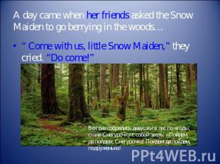 A day came when her friends asked the Snow Maiden to go berrying in the woods… “