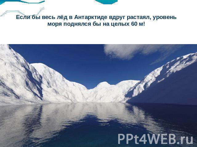 Если бы весь лёд в Антарктиде вдруг растаял, уровень моря поднялся бы на целых 60 м!