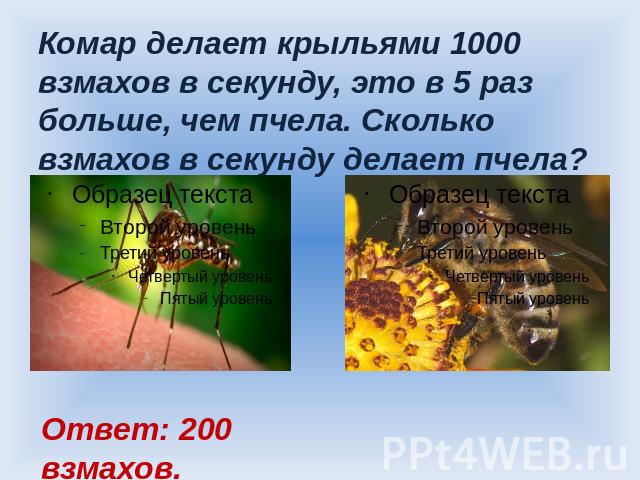 Комар делает крыльями 1000 взмахов в секунду, это в 5 раз больше, чем пчела. Сколько взмахов в секунду делает пчела? Ответ: 200 взмахов.