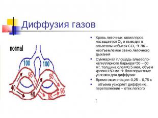 Диффузия газов Кровь легочных капилляров насыщается О2 и выводит в альвеолы избы