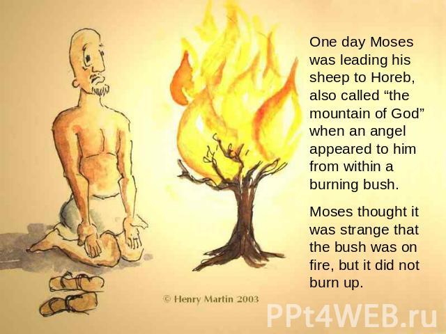 One day Moses was leading his sheep to Horeb, also called “the mountain of God” when an angel appeared to him from within a burning bush. Moses thought it was strange that the bush was on fire, but it did not burn up.