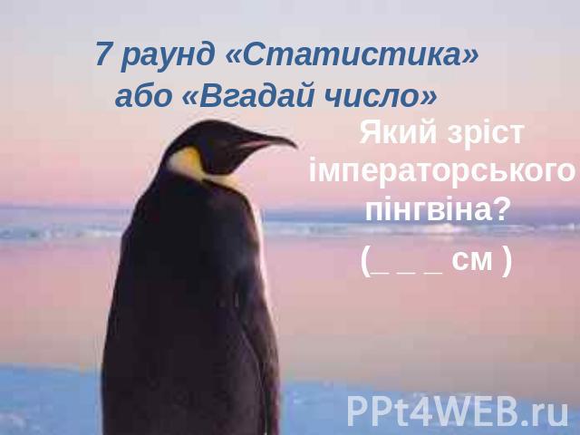 7 раунд «Статистика» або «Вгадай число»    Який зріст імператорського пінгвіна? (_ _ _ см ) 