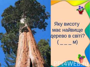 Яку висоту має найвище дерево в світі? ( _ _ _ м)