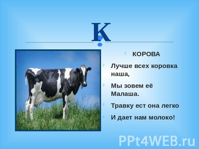 К КОРОВА Лучше всех коровка наша, Мы зовем её Малаша. Травку ест она легко И дает нам молоко!