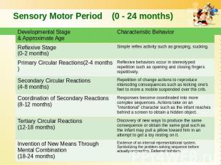 Sensory Motor Period (0 - 24 months)